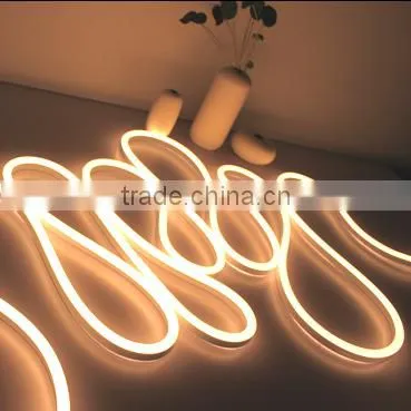 2700K Led Neon 240V 120V 24V 12V photo-3