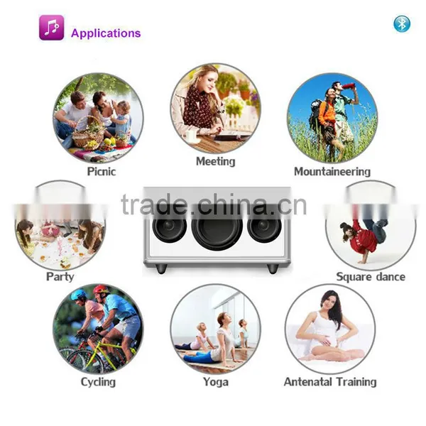 Best Selling New TS2.1 Popular Powered Recharged Outside Bluetooth Speaker photo-4