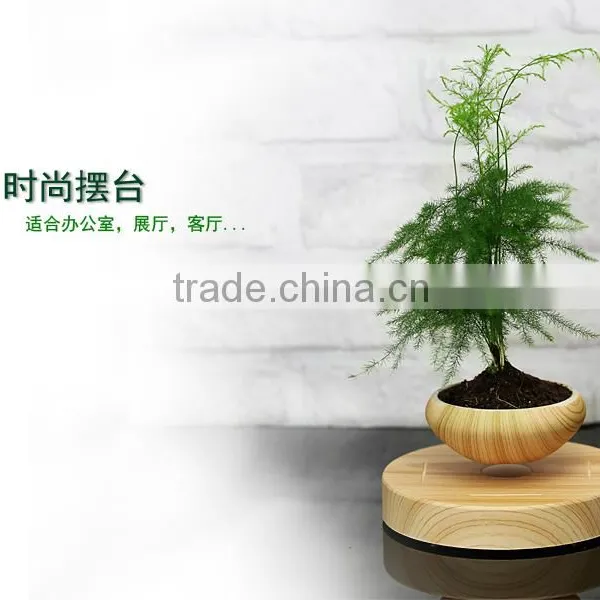 Small Plant Pot for Home Decoration photo-5