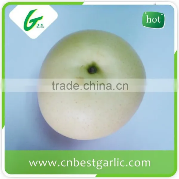 Bulk Fresh Crown Pear From Hebei photo-3