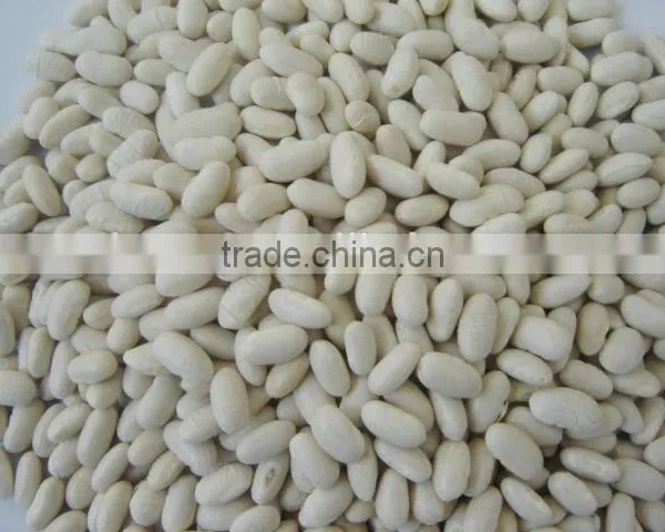 2015 New Crop Price of Baishake White Kidney Beans From China photo-4