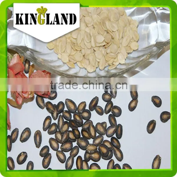 Top Quality Watermelon Seeds for Planting photo-2