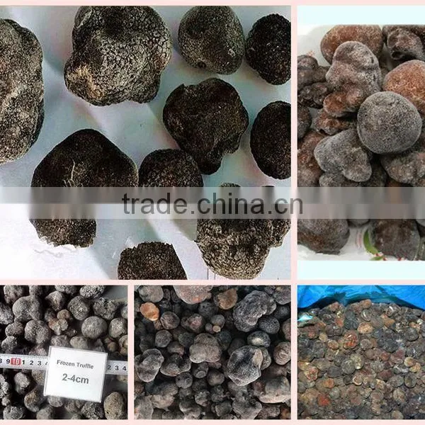 Chinese Black Truffle Price photo-3