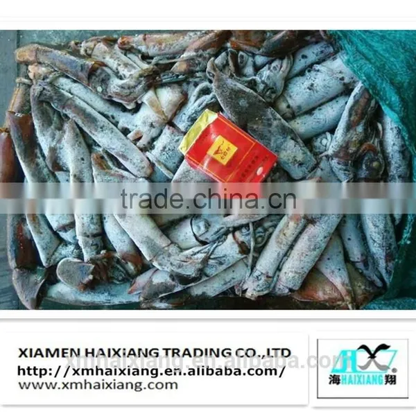 Buy Frozen Black Squid photo-2