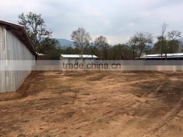 Made in VietNam - High Quality Wood Charcoal 100% Nature photo-5