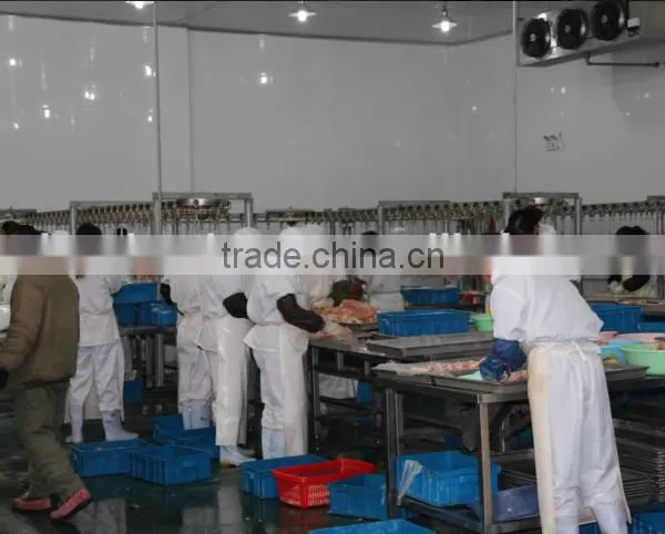 Chicken Abattoir House Slaughter Equipment 008618052092685 photo-3