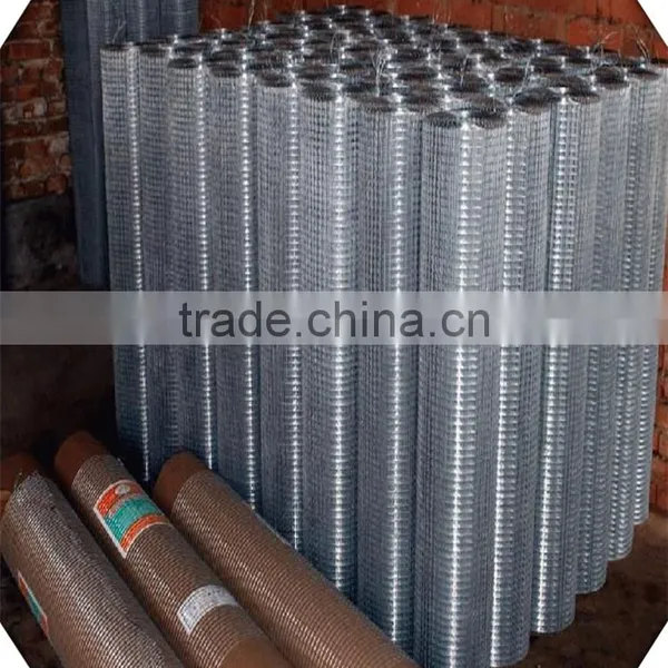 Galvanized Welded Wire Mesh / Weled Wire Mesh Factory photo-5