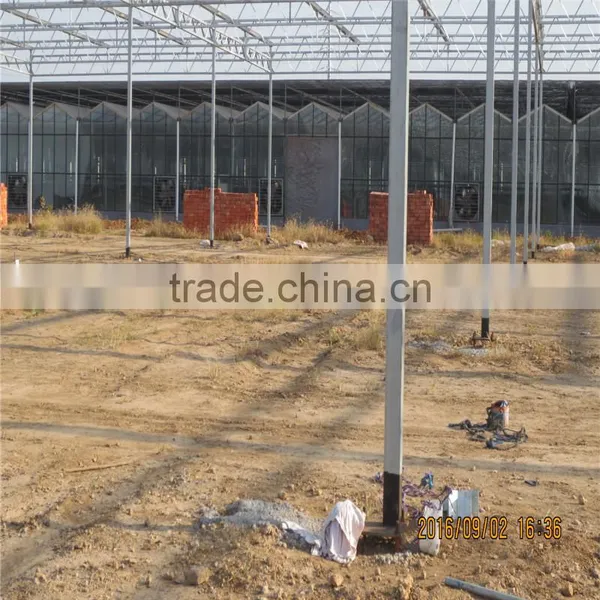Multi-span Low Cost Greenhouse,commercial Greenhouse in Tanzania photo-5