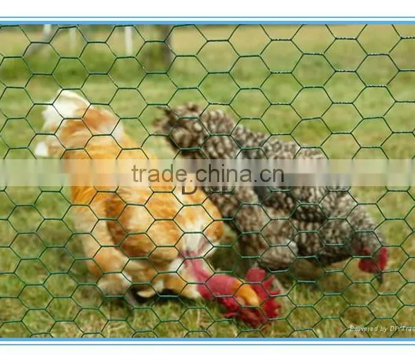 Hexagonal Netting Chicken Wire Hexagonal Wire Mesh With Green Plastic Finish photo-5