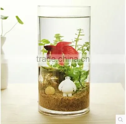 Simple Cheap Tall Home Wedding Decor Cylinder Flower Glass Vase photo-4