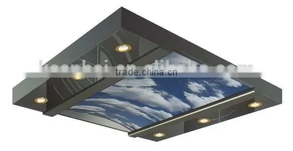 Stainless Steel Elevator Ceiling Panel photo-3