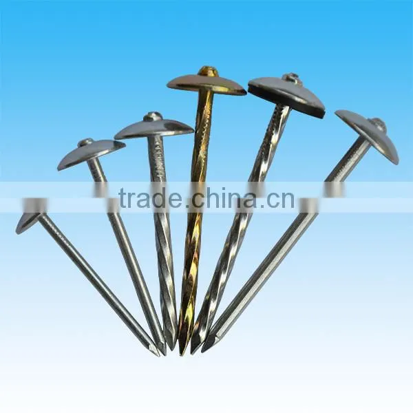 Low Price Galvanized Roofing Nails With Washer In Guangzhou Supplier photo-2
