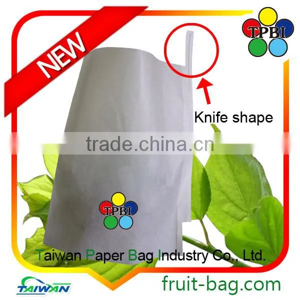 TPBI Taiwan Kate Mango Paper Bag Protective Waterproof Cover photo-4