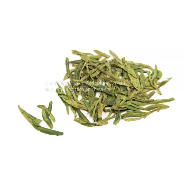 China Good Quality Longjing Green Tea With Best Price From Tea photo-2