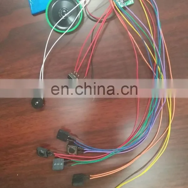 Custom Sound Chip for Toy /clothes and Shoes With Light photo-5