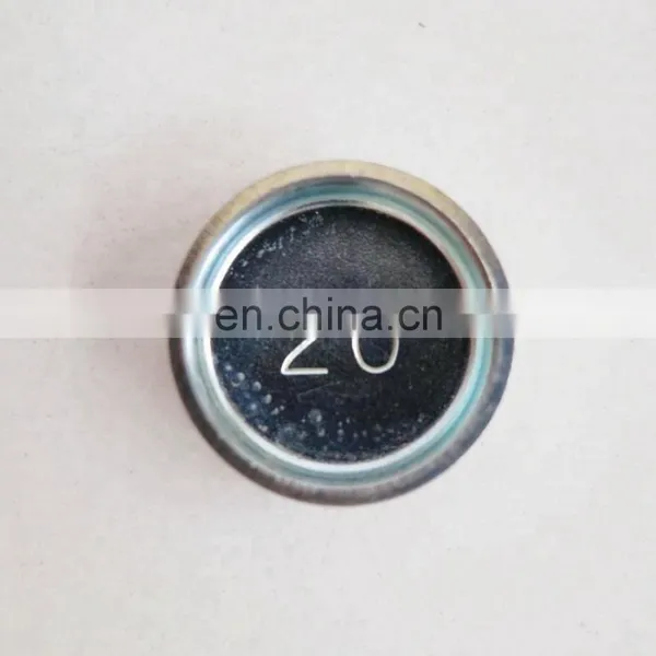 Genuine Diesel Engine Spare Parts 6CT Expansion Plug 3920706 photo-5