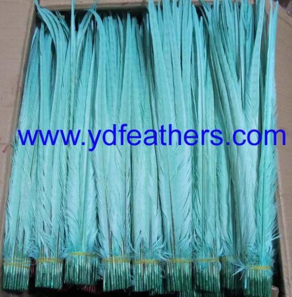 High Quality Ringneck Tail Feather photo-3