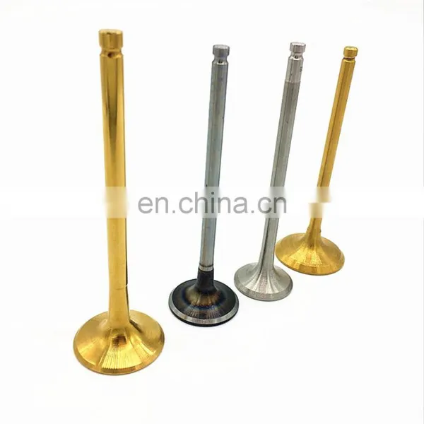 Top Speed Car Spare Parts Intake Exhaust Engine Valve for Peugeot 306 406 605 Zpj 106 Citroen 605 photo-2
