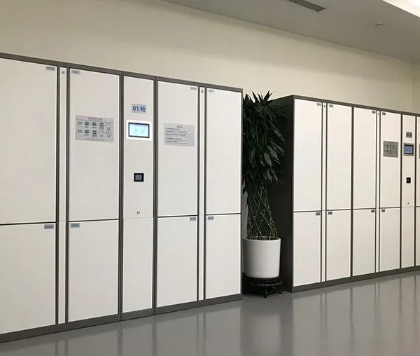 Smart Deposit Locker
