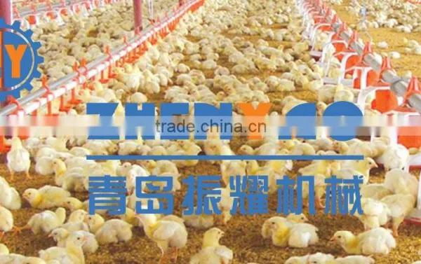 Broiler and Breeder Feeding System photo-4