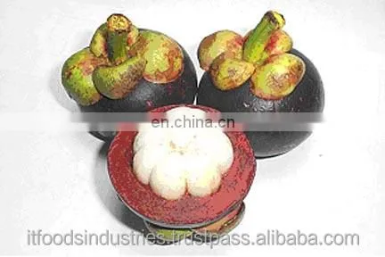 Wholesale Mangosteen Frozen Mangosteen (Garcinia Mangostana Linn) in Thailand photo-3
