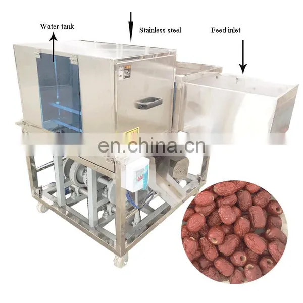 China Cheapest Price Best Quality Cherry Apple Peach Plum Olive Apricot Seed Core Pitter Remover On Warehouse photo-3