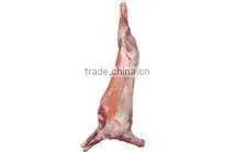 Frozen Lamb and Mutton Meat