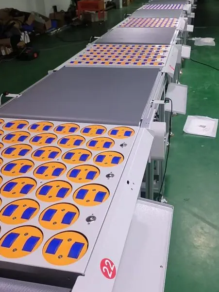 Swivel Wheel Sorter, Rotary Wheel Sorter, DWS System, DWS Sorting Line, Warehouse Sorting Line. Express Sorting Line. photo-5