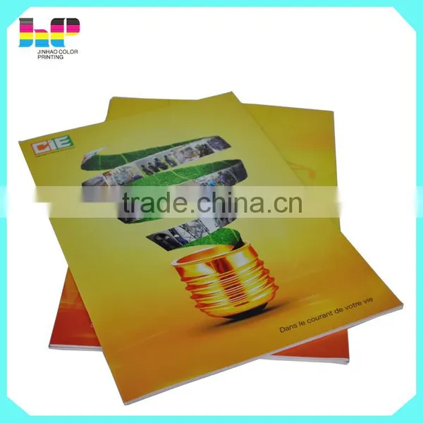 Popular Top Quality a4 Promotional Brochure Flyer Printing From China photo-4