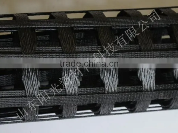 Unaixial Polyester Geogrid Wall With CE Certification photo-2