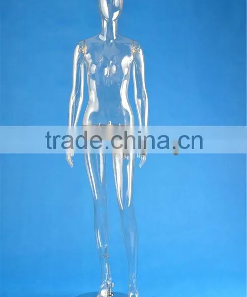 Full Body Transparent Mannequin photo-3