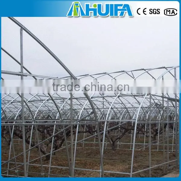 Polycarbonate Roof Sheet Greenhouse photo-4