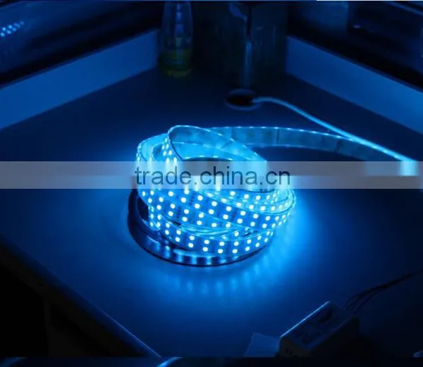 Two Row Blue Color 5050 SMD 120led /m IP68 Silicon Tube 12C DC White PCB LED Strip Light For Advertisement