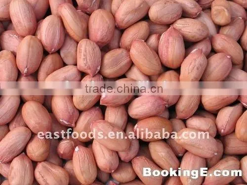 Chinese Round Type Peanut Kernels photo-2