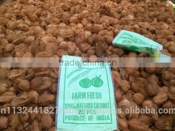 Husked and Semi Husked Coconut Exporter From India photo-6