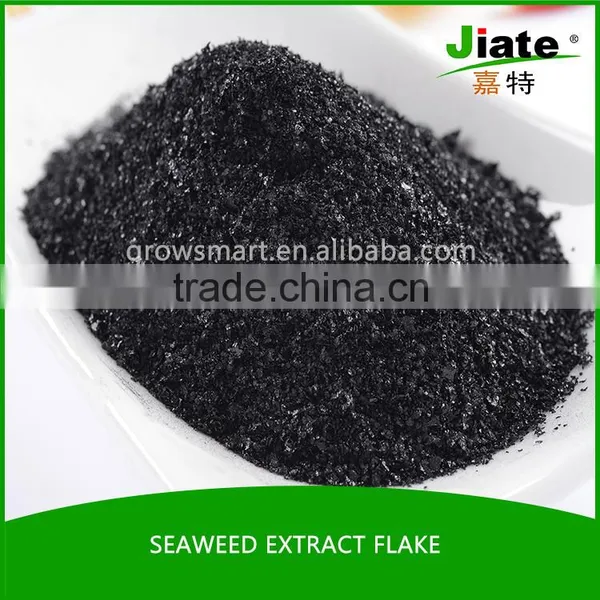Seaweed Extract Organic Powder /flake Fertilizer