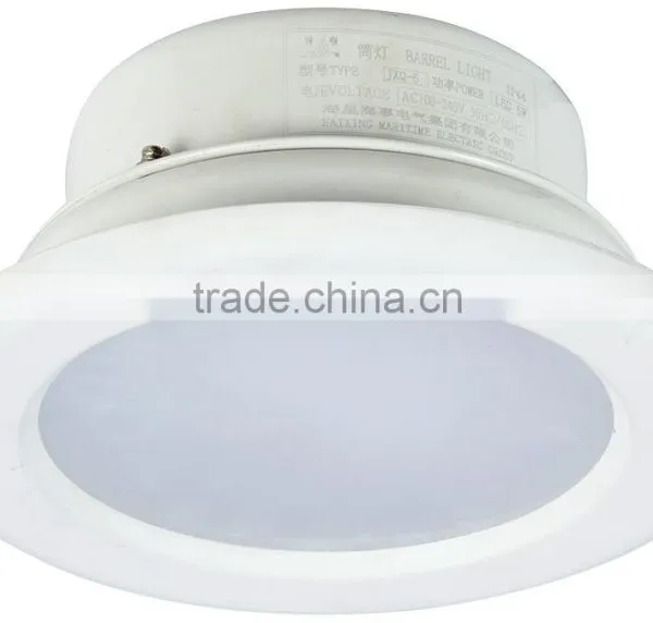 LED Down Light