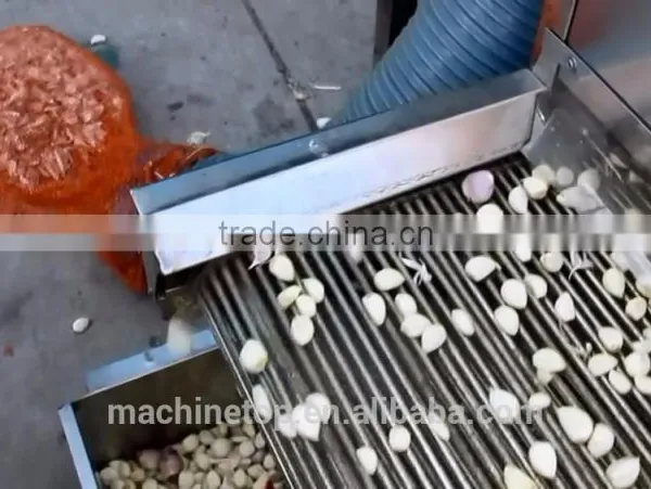 Manufacturer Of Garlic Peeler Machine photo-2