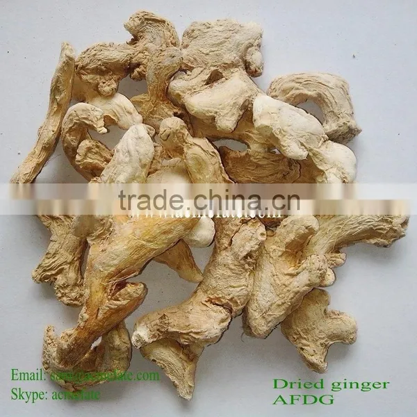 New Crop Air Dried Ginger Whole Spice Herb