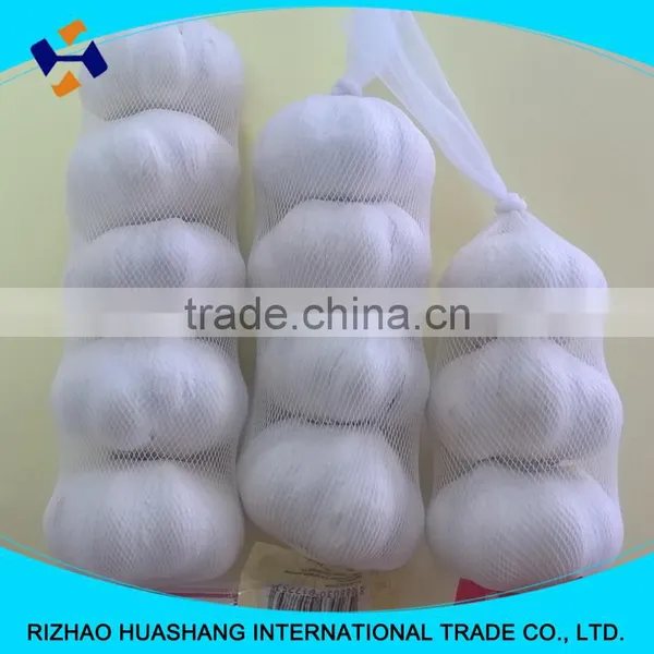 Good Quality Pure White Fresh Garlic Size6.0cm photo-6