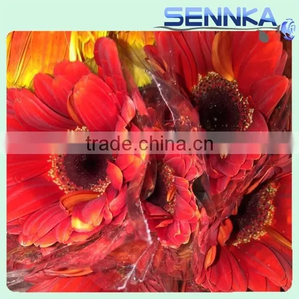 Savanna Gerbera Ceremony Fresh Cut Flowers Fresh Cut Gerbera