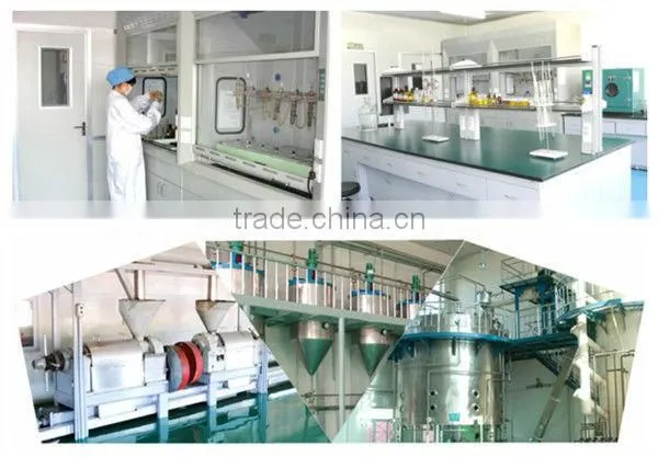 Hot Sale Supplement Evening Primrose Oil From China photo-4