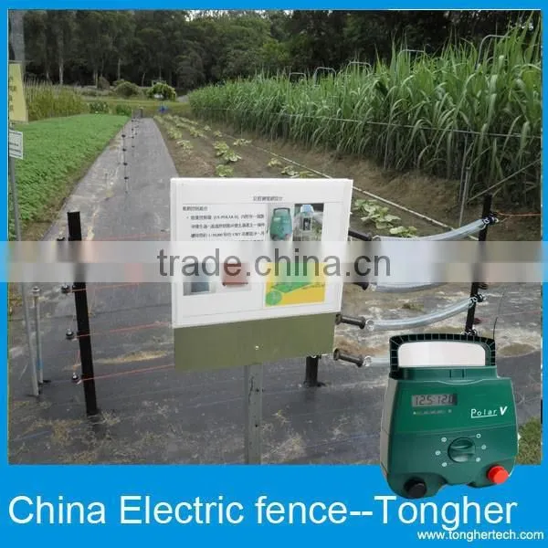 Electric Fencing For Chilken photo-5