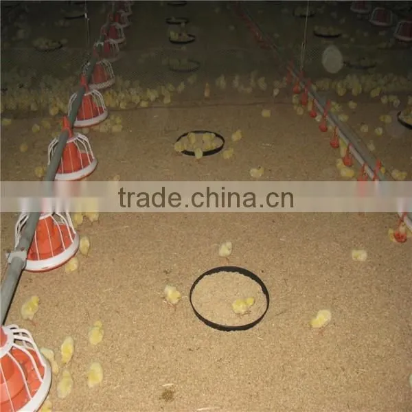 Broiler Chicken Feeding Equipment photo-6