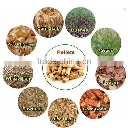 CE Approved Mini Wood/Maize/Soybean Pellet Machine For Sale photo-5