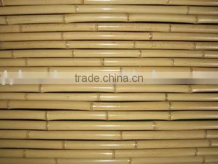 Bamboo Cane