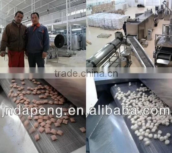 Made in China Stainless Steel Corn Flakes Extruder Machine photo-2