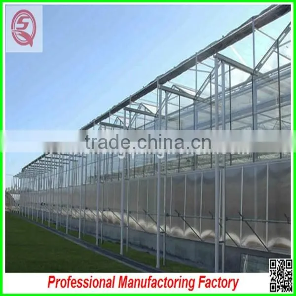 Hot Sale Multi-span Glass 8.0m Agriculture Greenhouses for Planting photo-3