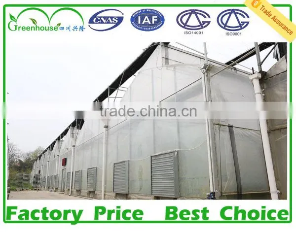 Commercial Greenhouses photo-6