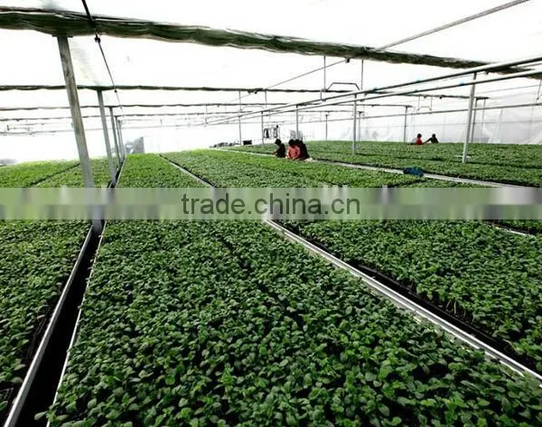 China Supplier Plant Growing Tray Seed Germination Tray for Greenhouse With Good Price photo-3